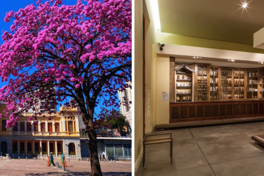 ​Feira da Estação realiza edição especial de Dia das Mães no SESI Museu de Artes e Ofícios  